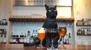Halloween cocktails and a black cat decoration on the Tasting Room bar